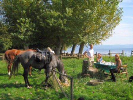 Castle Based Trail Ride